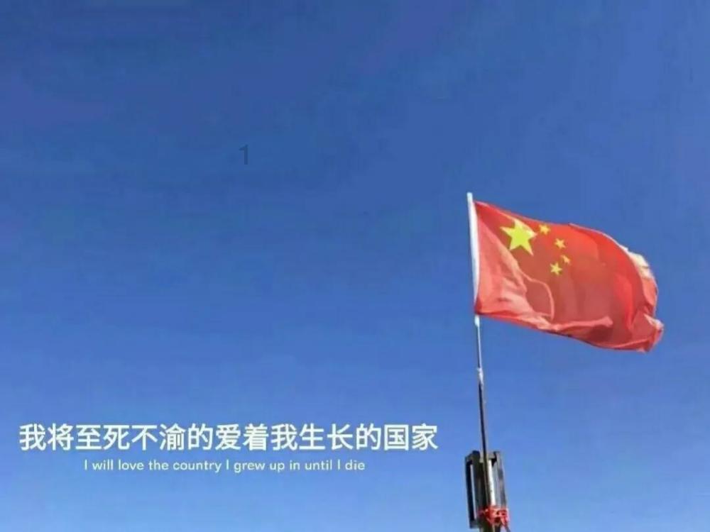 哈尼和她的宠物们
